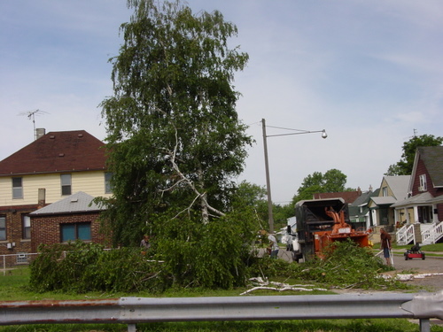 ./Gallery/2011 Bennet Lot Tree Removal/DSC06445.JPG